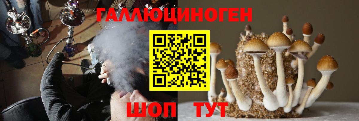 Аргун  Псилоцибиновые грибы прущие грибы  Вход с VPN 